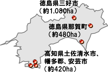 森林の発掘:徳島県三好市