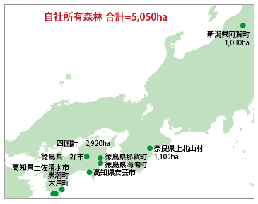 森林の発掘